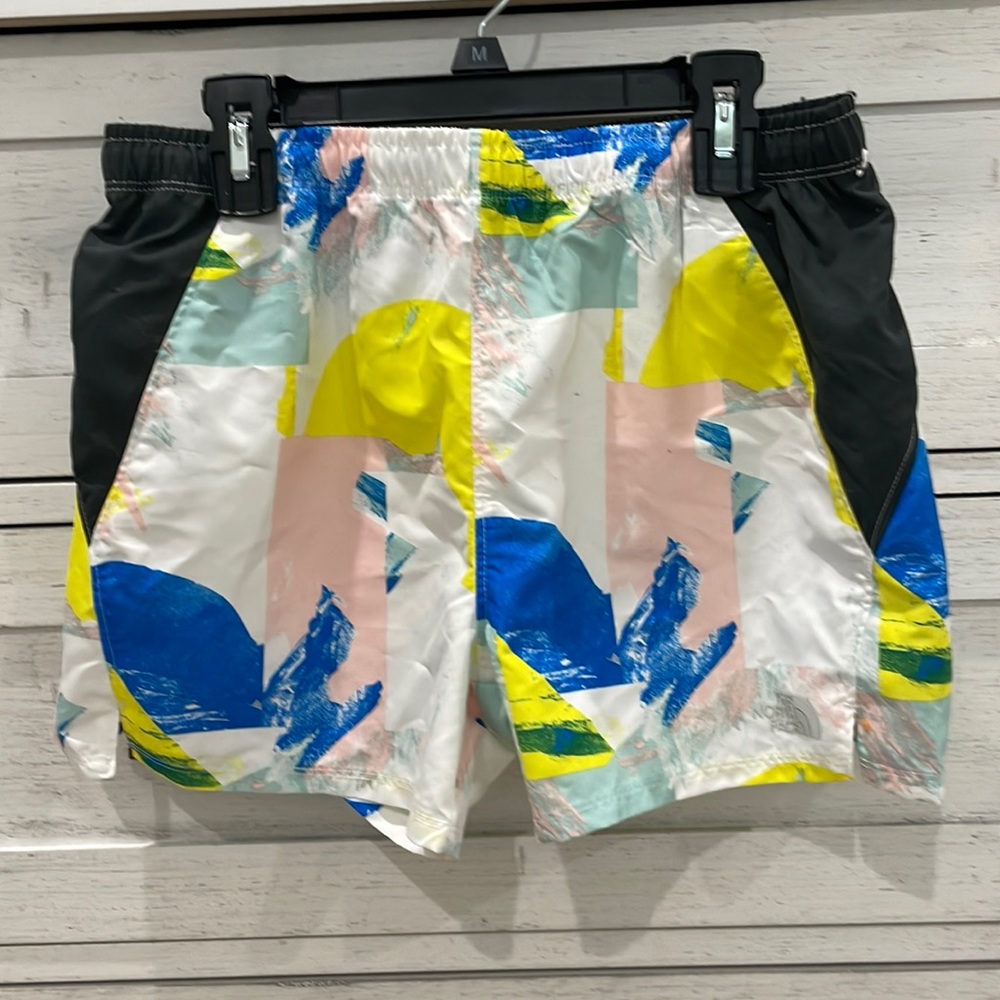 The north face shorts